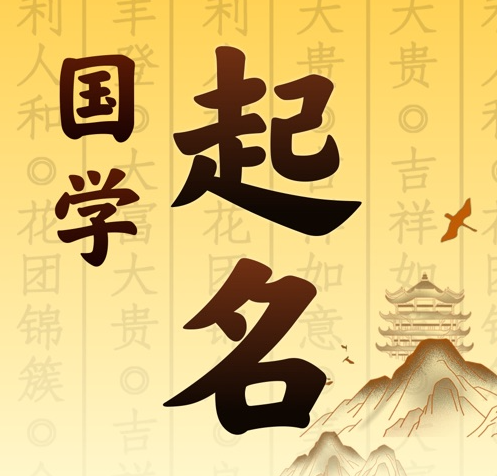 新余市国学起名 人工起名一对一